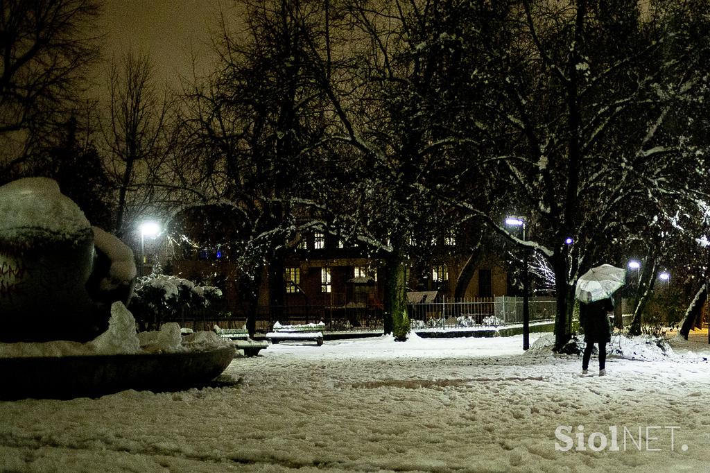 sneg v Ljubljani