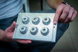 Maks Pogačnik, Molinet