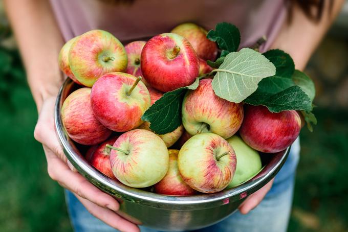 Domača jabolka so najboljša. | Foto: Shutterstock