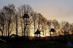 Čudovite hišice na drevesih z vsega sveta (foto)