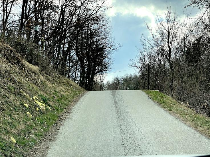 Eden izmed skokov na reliju. Ta se nahaja na drugi hitrostni preizkušnji relija. | Foto: Gregor Pavšič