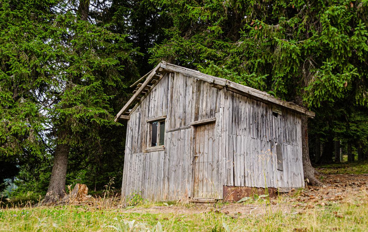 lopa | Fotografija je simbolična. | Foto Shutterstock