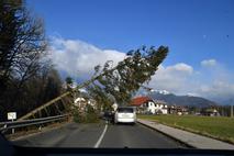 Močan veter v Kranju z okolico