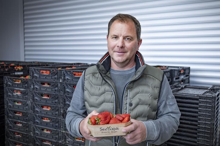 Sadje, zelenjavo in večino vina prodajo v Sloveniji, omake s čilijem pa izvažajo v balkanske države, nekaj tudi v Nemčijo in Avstrijo. Na kmetiji je 14 zaposlenih.

 | Foto: Ana Kovač