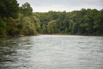 Na reki Muri čoln trčil v drevo in se prevrnil