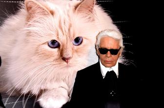 Karl Lagerfeld svoji mački zapustil milijone, a ni prejela niti centa