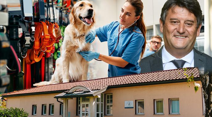 Kateri veterinarji so lani zaslužili največ?