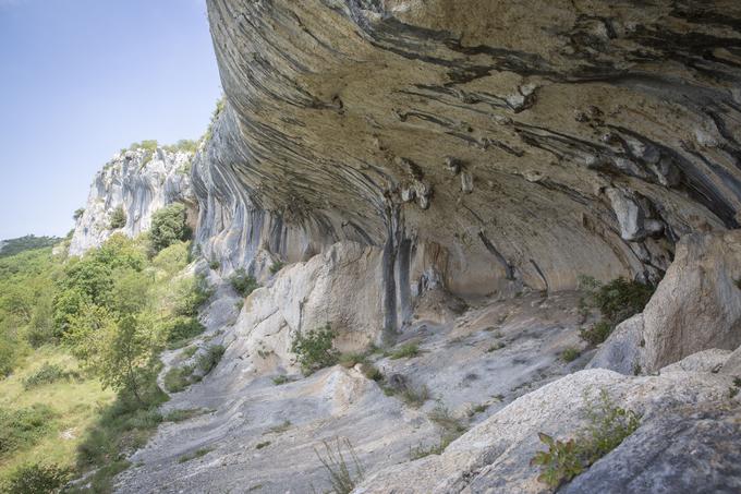 Veličastna Ušesa Istre | Foto: Bojan Puhek