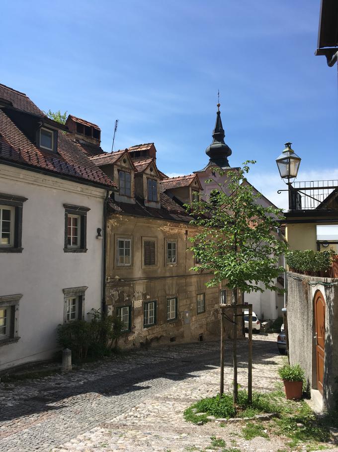 Pot na Ljubljanski grad, kot jo je ovekovečil Pierre. Foto: osebni arhiv | Foto: 
