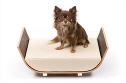 Ideja za dom: Dizajnersko ležišče za domačega ljubljenčka