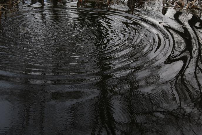 Ribnik, voda, jezero | Zdravnik je na kraju potrdil smrt moškega in odredil sanitarno obdukcijo. Obveščena sta bila državni tožilec in preiskovalni sodnik. | Foto Shutterstock