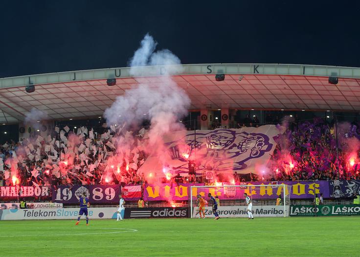Viole komaj čakajo na začetek spomladanskega dela. | Foto: Matic Klanšek Velej/Sportida