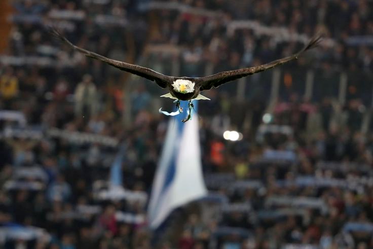 30. oktober: orel pred tekmo italijanskega nogometnega prvenstva med Laziem in milanskim Interjem na Olimpijskem štadionu v Rimu. | Foto: Reuters