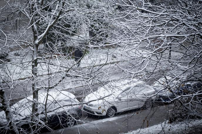 sneg | Rahlo sneženje je danes napovedano predvsem na vzhodu države. | Foto Ana Kovač