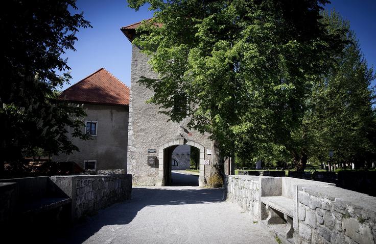 Ribniški grad. | Foto: 