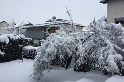 Slovenijo je pobelil sneg, težave v cestnem in železniškem prometu