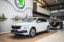 novi-skoda-kamiq-fabia-easy-2024-porsche-inter-auto-akcija-top-ponudba (7)