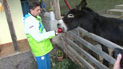 Je Pahor ta teden naredil kaj državotvornega?