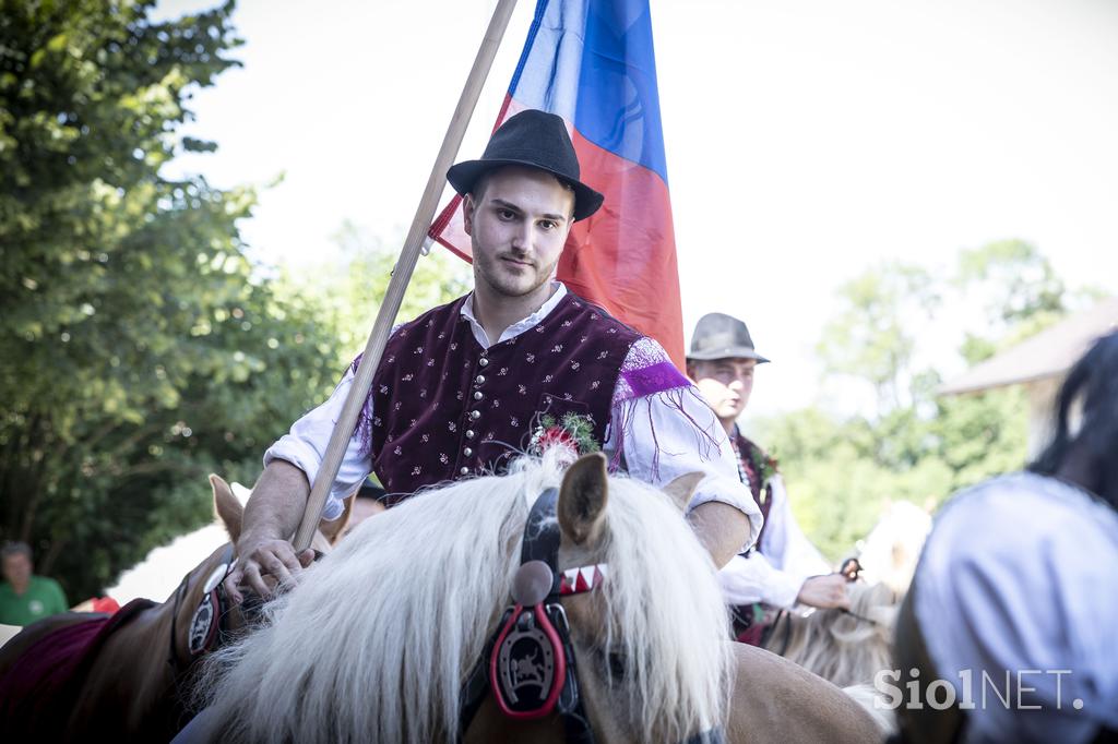 Posavsko štehvanje