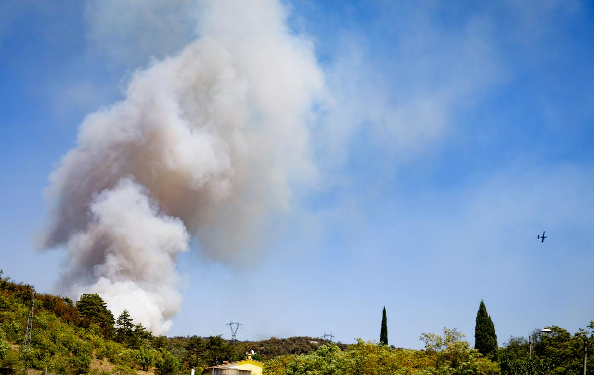 Požar Kras | Ekstremna suša je prinesla tudi večja tveganja za nastanek požarov v naravi, kar se je odrazilo v tem, da je lansko poletje prineslo največji obseg izpustov zaradi požarov v Evropski uniji in Veliki Britaniji. | Foto Ana Kovač