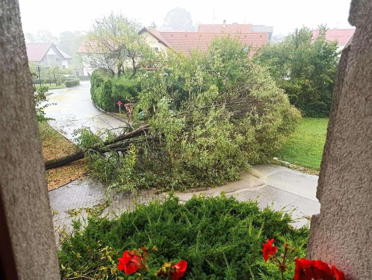 Novo mesto, neurje | Foto: STA