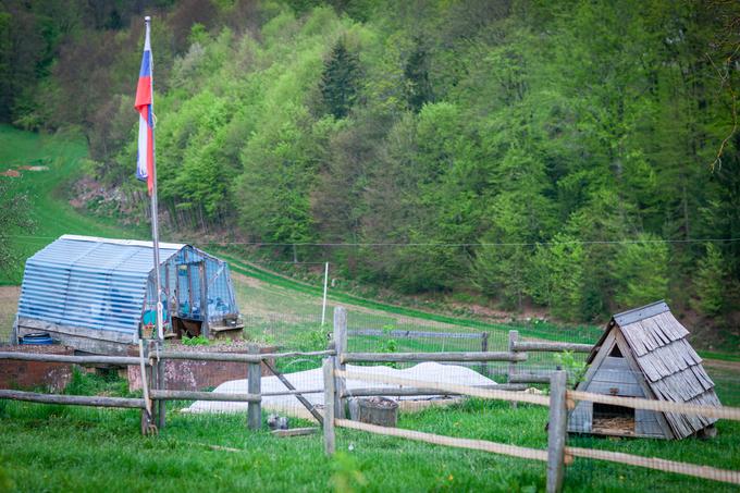 Pogled na vrt, kjer družina pridela veliko zelenjave.  | Foto: Gaja Hanuna