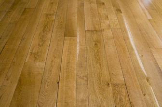 Poslanci lahko do prihodnjega torka zaprosijo za službeno stanovanje