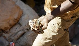 Resnica o rudi iz Afrike, ki razdvaja svet