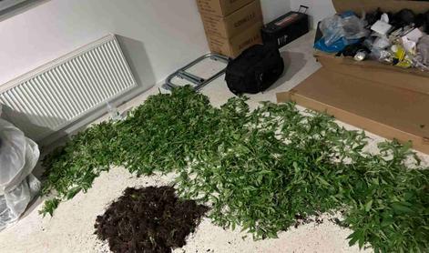 Na območju Trzina v hišni preiskavi zasegli večjo količino prepovedane droge #foto