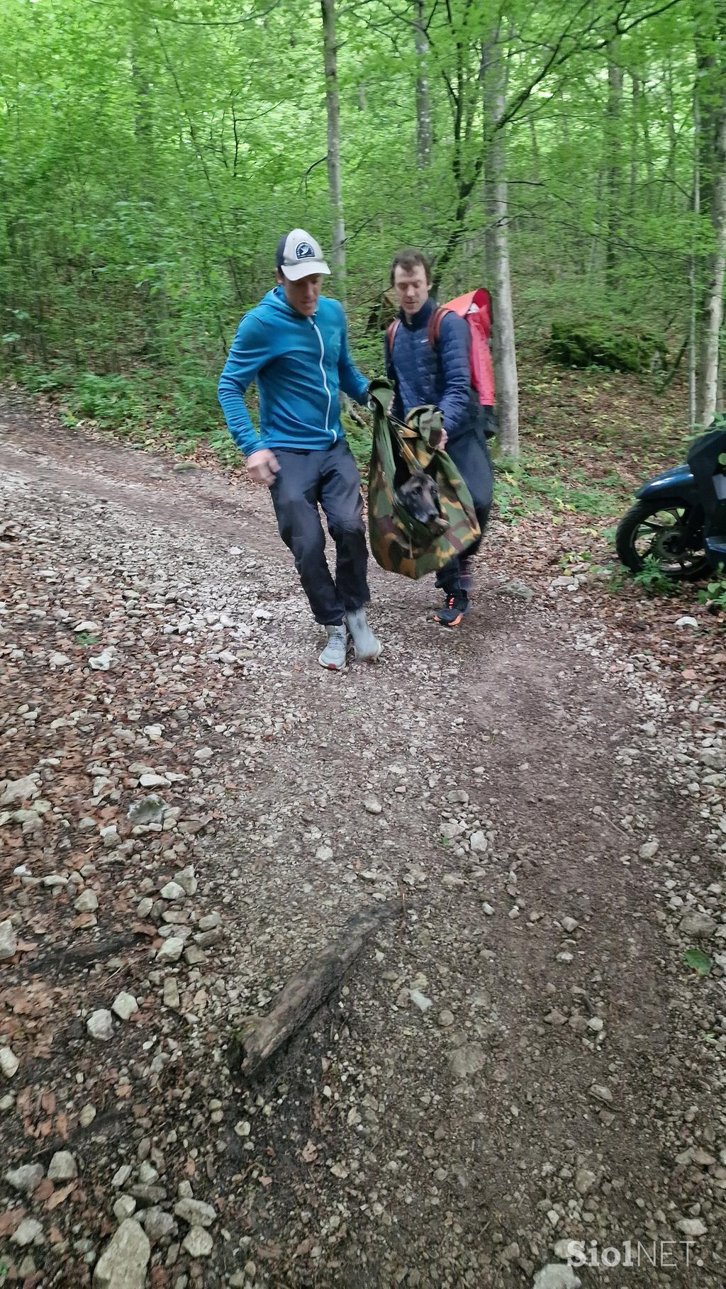 Kuža