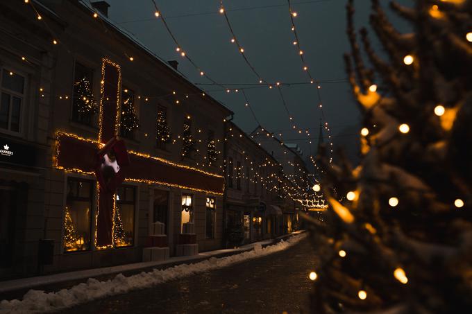 Zavod Celeia | Foto: Monika Škorjanc, Magični spomini