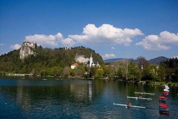 Domači floti manjkajo predvsem kilometri