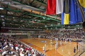 Švedska pretrd oreh