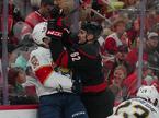 Carolina Hurricanes