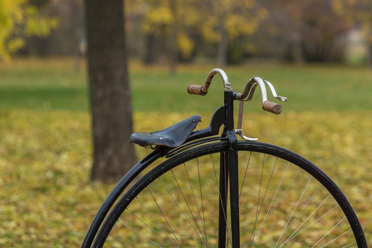 kolo | Foto: Thinkstock