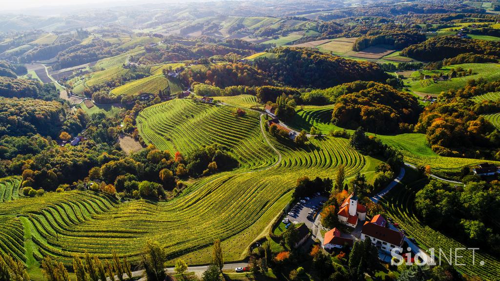 vinorodna štajerska