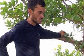 Survivor: intervju s Predragom Veljkovićem-Peđo
