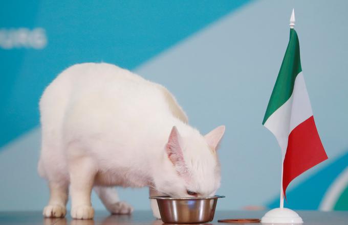 Nato se je odločil, da se bo najedel v italijanskem kotičku. | Foto: Reuters