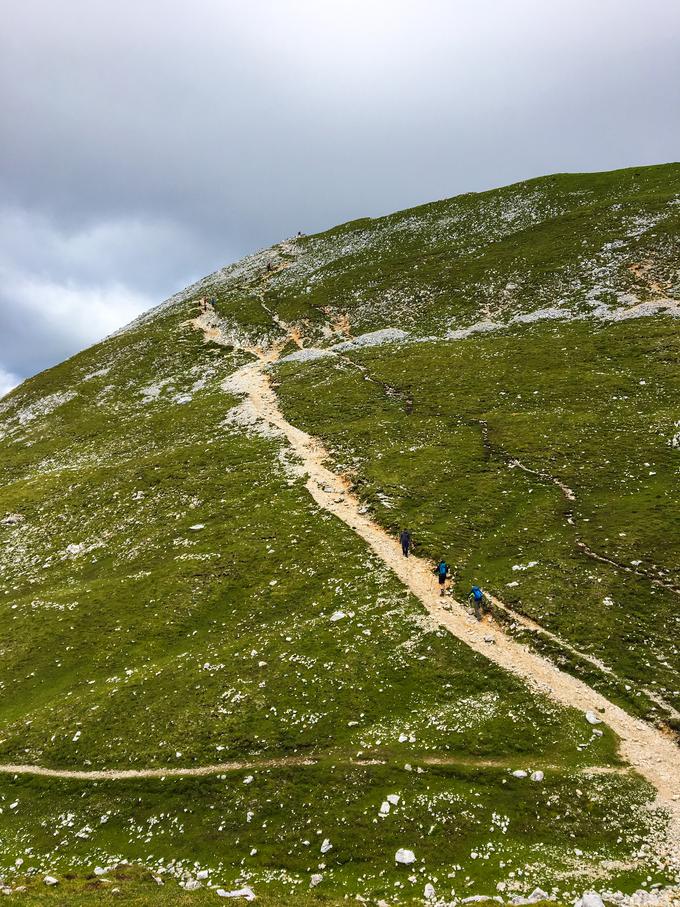 Zadnji vzpon proti vrhu Stola. | Foto: Špela Lenart