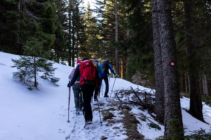Po še zadnjem letošnjem snegu smo se od Mozirske koče podali do razgledne Javorce. | Foto: Matej Podgoršek