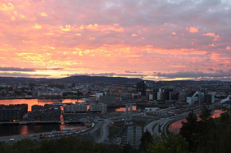 Miha je v Oslo prispel brez rezervacije prenočišča, niti dogovorjene službe ni imel, le z dvema potovalkama in s prenosnim računalnikom. | Foto: Osebni arhiv