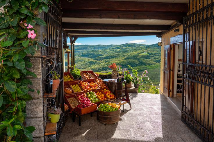 Sanjski razgled iz mesta Motovun | Foto: Shutterstock
