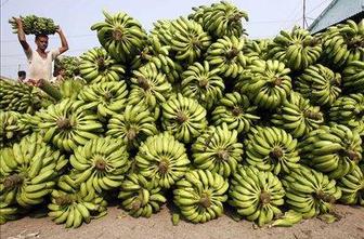 Spodnje perilo iz banan
