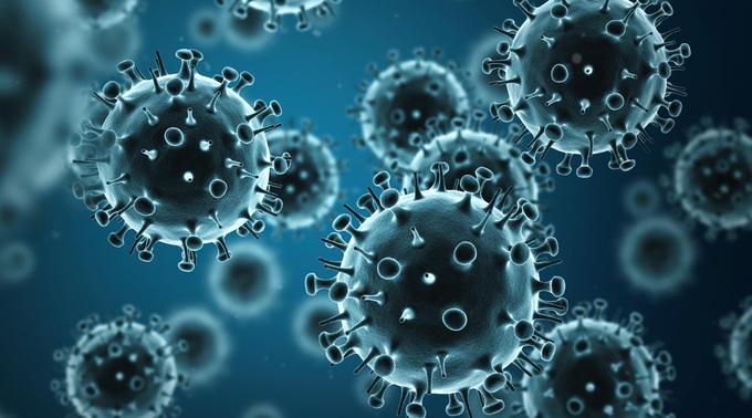 Virus gripe | Foto: 