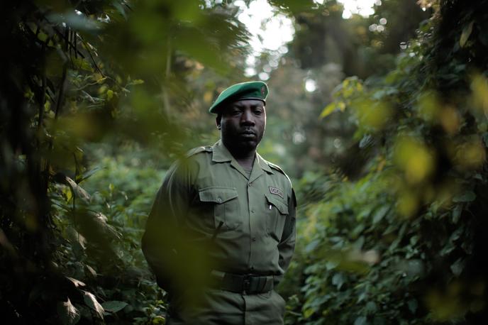 Raziskovalec: Bitka za Virungo | Foto National Geographic