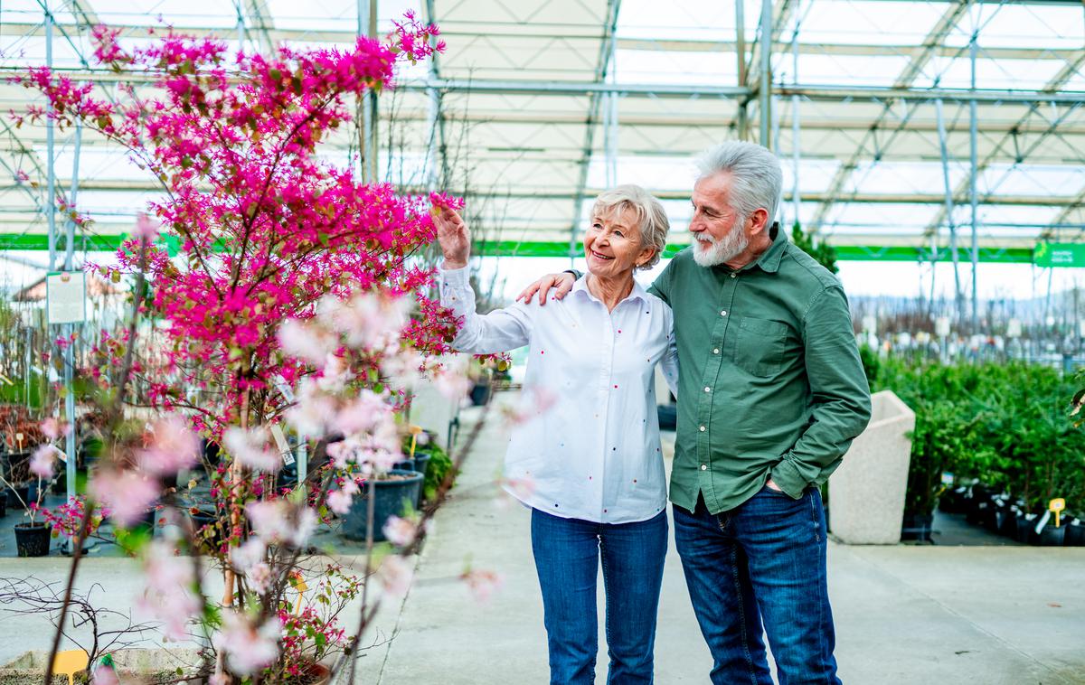 Eurogarden, Rotar in Ramda | Foto Eurogarden, Rotar in Ramda