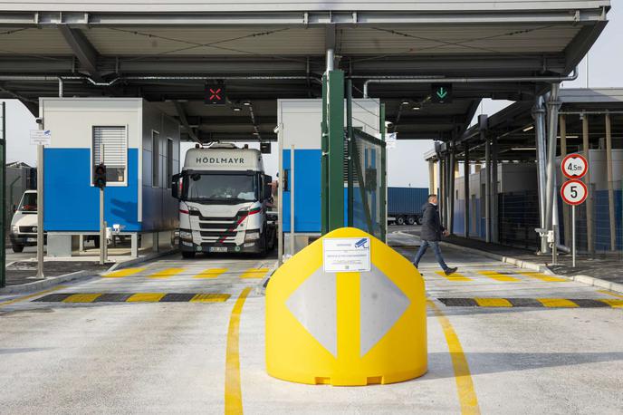 Luka Koper, terminal pri Serminu | Izpad sistema je ohromil Luko Koper. | Foto Bor Slana/STA
