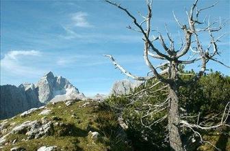 Planinska zveza praznuje 60 let