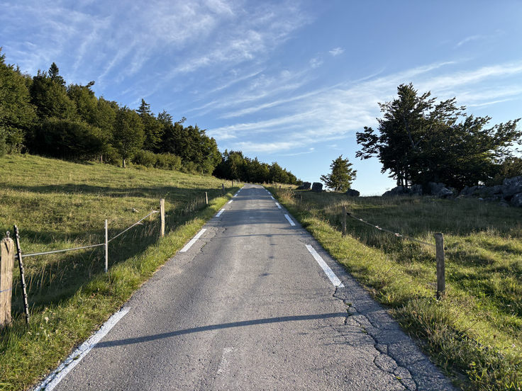 Asfalt je dober za avto, za gležnje in kolena pa ne. | Foto: Žiga Papež