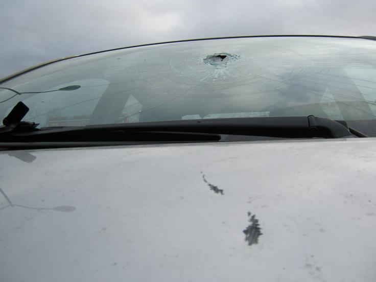 nesreča palica | Foto: Washington State Patrol